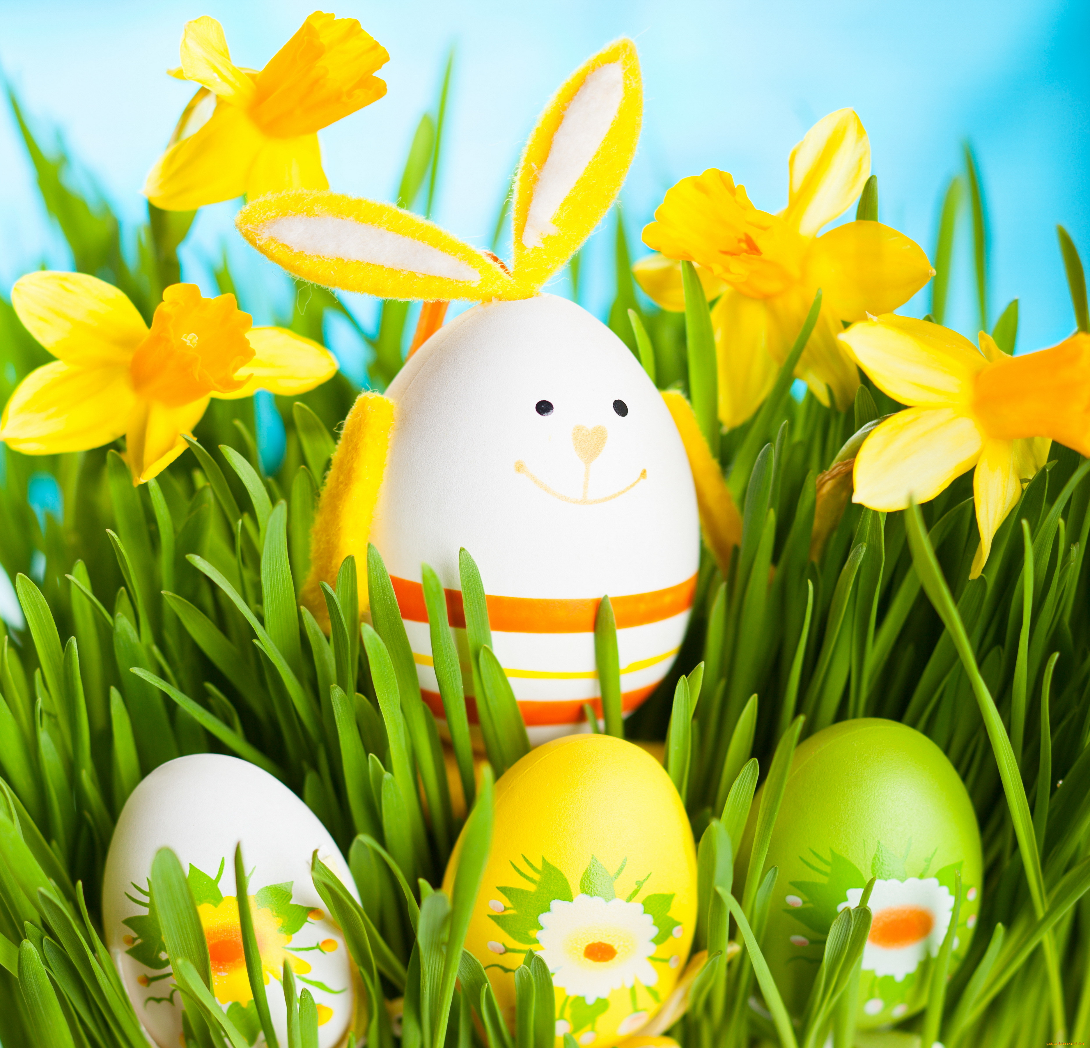, , easter, flowers, grass, daffodils, , eggs, spring, bunny, , , , , 